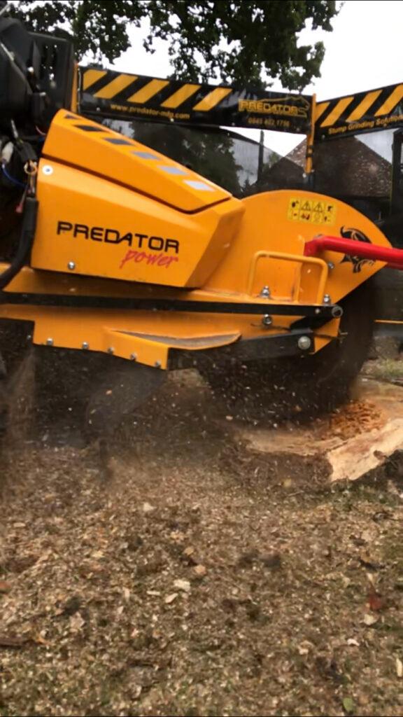 Stump Removal & Grinding